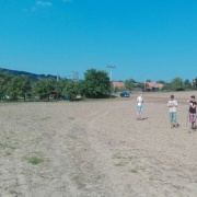 Šikulové