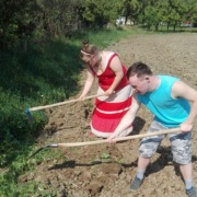 Šikulové
