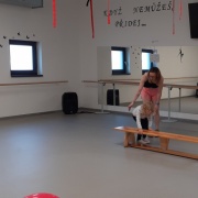 2021_Workshopy