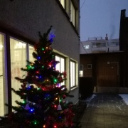 Zpívání u vánočního stromečku